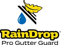 RainDrop Pro Gutter Guard