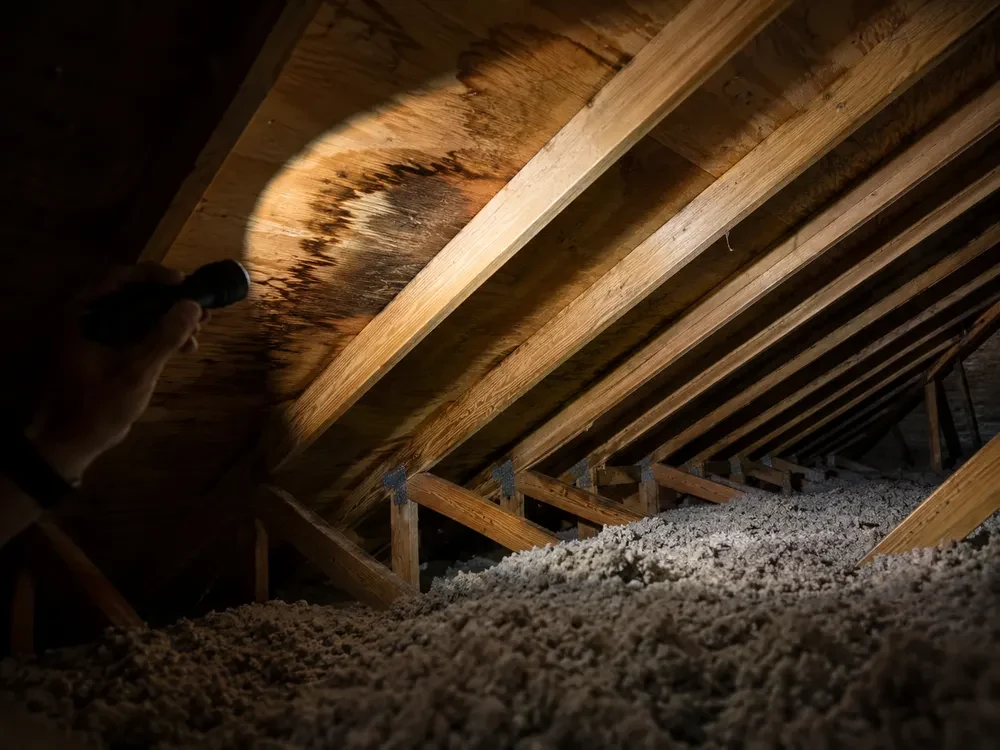 Attic interior showing roof rafters and insulation during an inspection