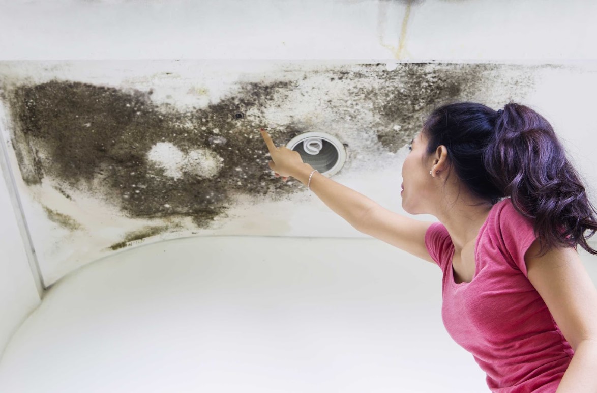 Common Causes of Roof Leaks in Baltimore