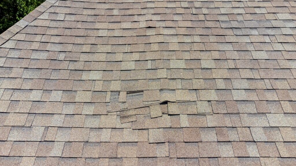 look for shingle damage