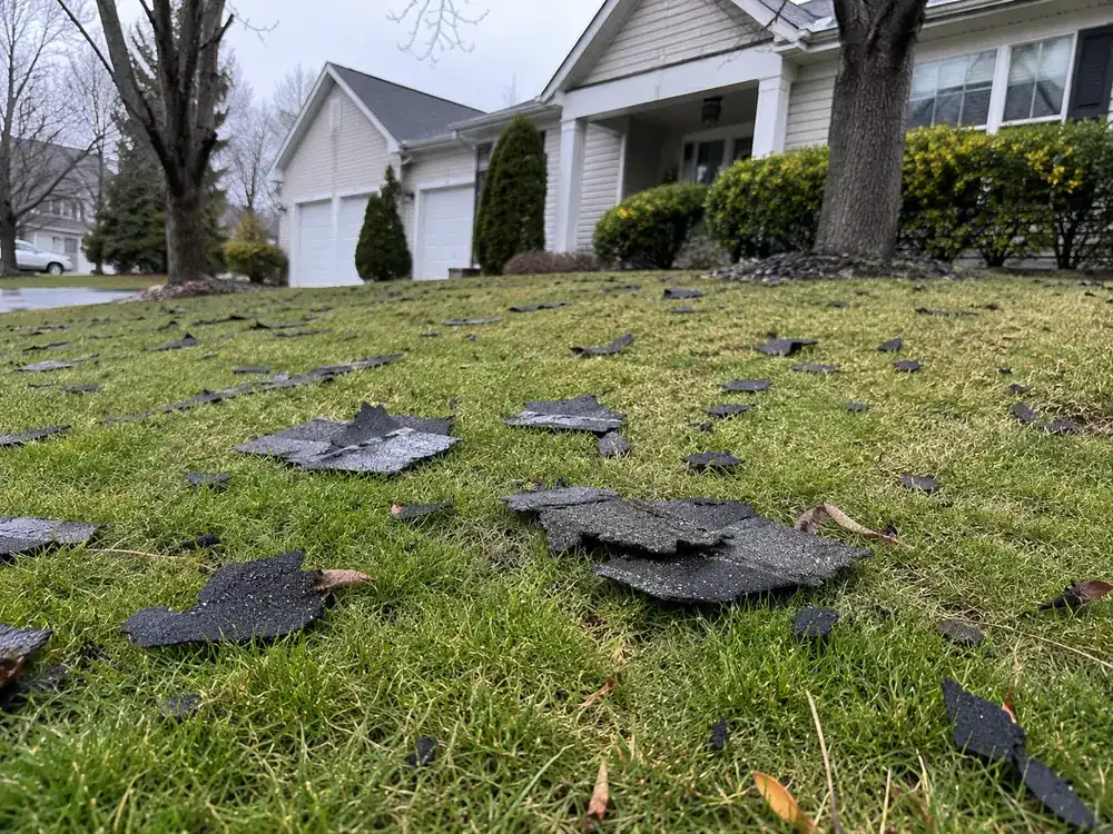 Shingles blown into a front lawn after a windstorm, the morning after