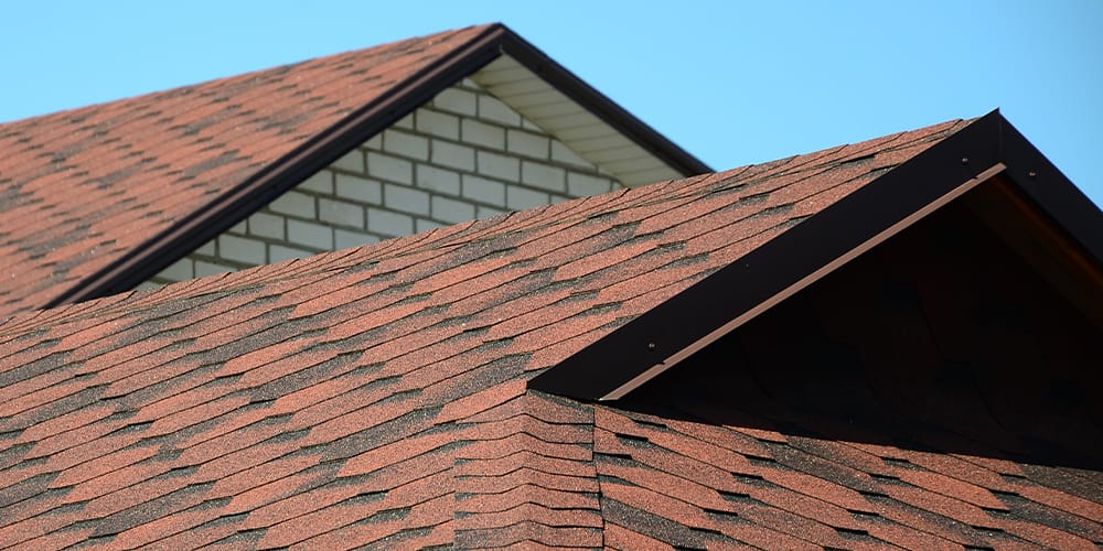 Roof Anatomy