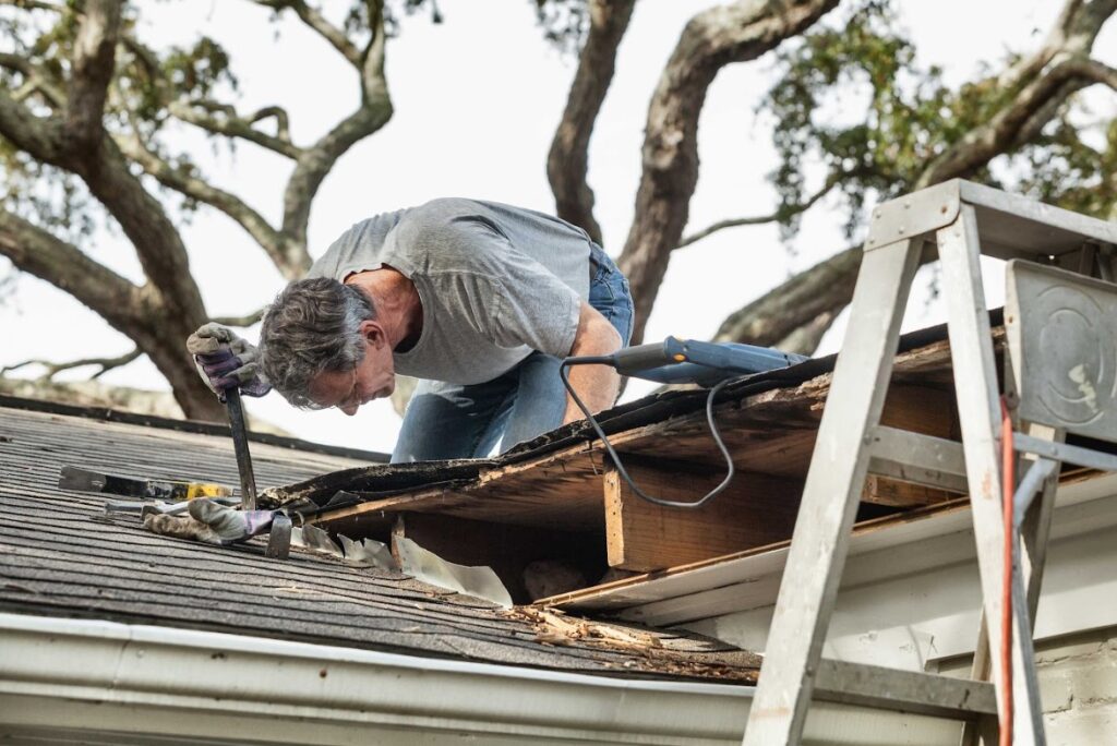 roof insurance