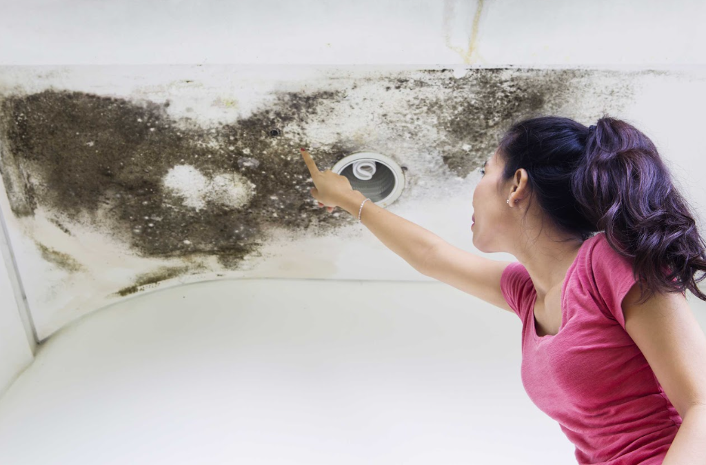 signs your roof is struggling under snow and ice in Maryland