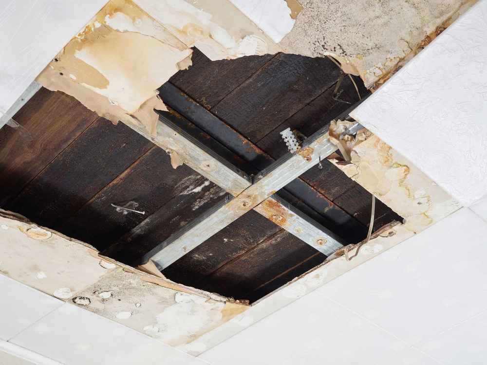 Roof Leaks Expert in Baltimore, MD